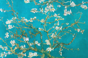 Van-Gogh-_Almond-Blossom1